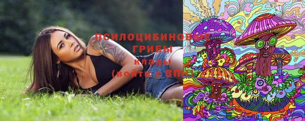 каннабис Алексеевка